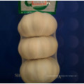 Профессиональные поставки Новый продукт Оптовые китайские производители чеснока